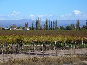 Argentina Excursion Photos
